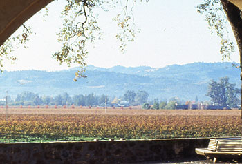 St. Helena - Napa Valley